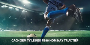 Cách xem tỷ lệ kèo KUBET hôm nay trực tiếp