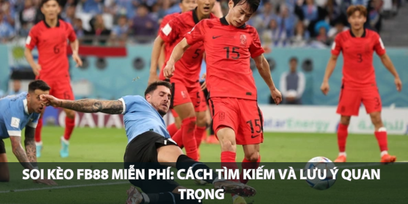Soi kèo KUBET miễn phí: Cách tìm kiếm và lưu ý quan trọng